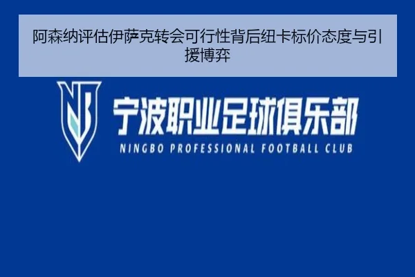 阿森纳评估伊萨克转会可行性背后纽卡标价态度与引援博弈 - kaiyun